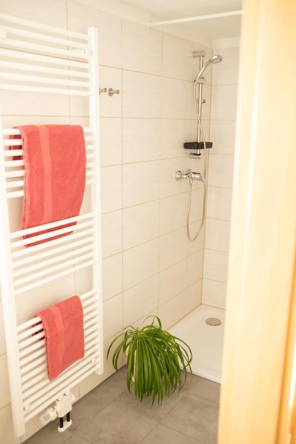 Ferienwohnung-Ihle Olbernhau Exterior foto